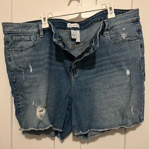 Lane Bryant Shorts 22